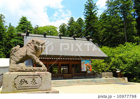 乃木神社 10977798