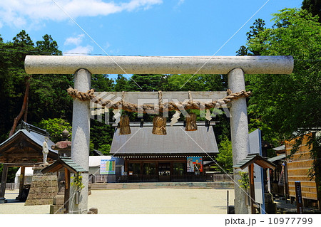 乃木神社　正面 10977799