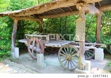 乃木神社 中国馬車 乃木神社 中国馬車 10977881