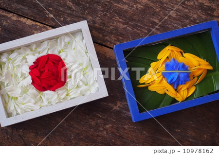 『応援花』 『応援花』 10978162