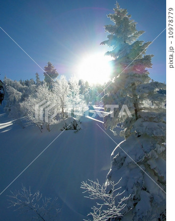 志賀高原の朝日 10978779