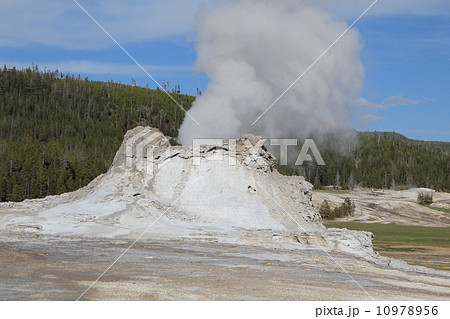 イエローストーン国立公園 10978956