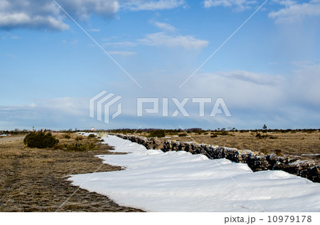The last snow The last snow 10979178