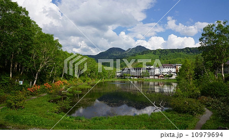 志賀高原蓮池の新緑 志賀高原蓮池の新緑 10979694