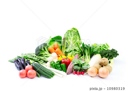 野菜 食材 野菜 食材 10980319