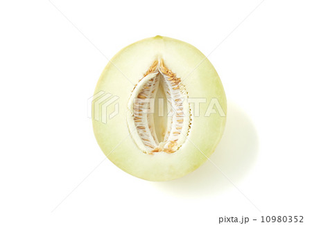 ハネデューメロン 10980352