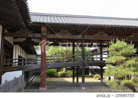 長浜別院大通寺 長浜別院大通寺 10980705