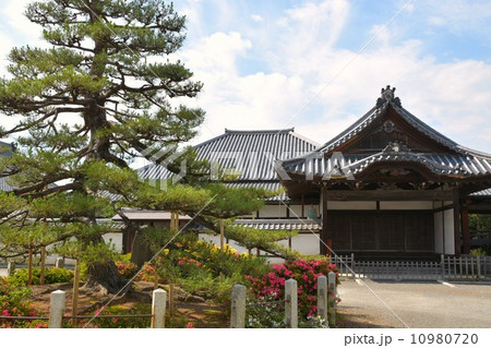 長浜別院大通寺 長浜別院大通寺 10980720
