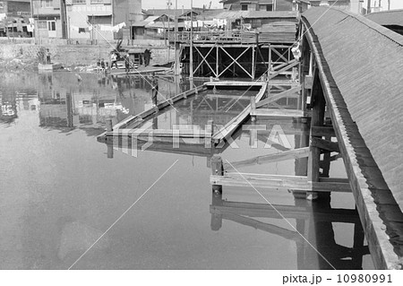 大阪、尻無川風景（1） 10980991