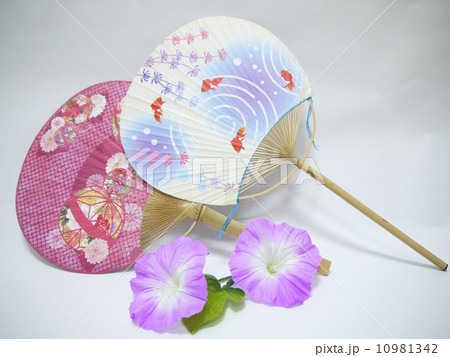 夏の風物詩 うちわ 夏の風物詩 うちわ 10981342