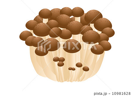 しめじ 10981628