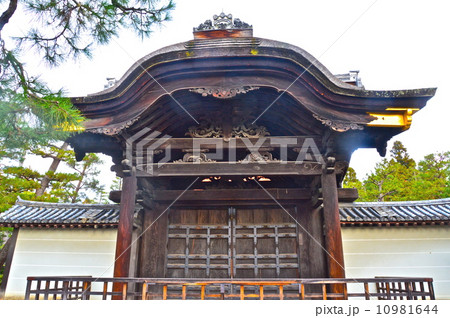 大徳寺の「勅使門」（京都市北区紫野大徳寺町） 10981644