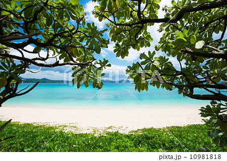 沖縄の海 21世紀の森ビーチの写真素材