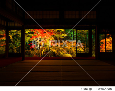 南禅寺・天授庵の庭ライトアップ 南禅寺・天授庵の庭ライトアップ 10982780