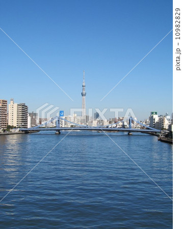 清洲橋とスカイツリー 10982829