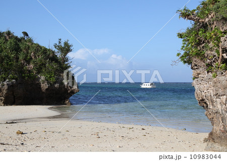 石垣島  川平湾の風景 10983044