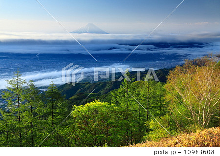 富士山　朝日を浴びて 10983608