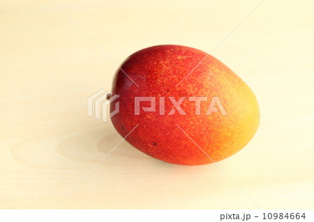 マンゴー マンゴー 10984664