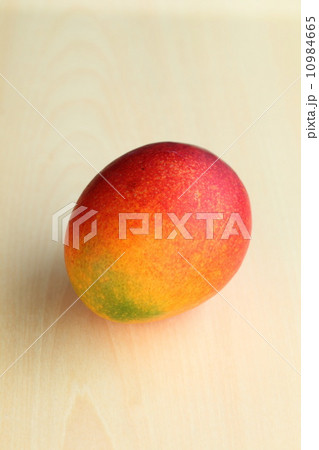 マンゴー 10984665