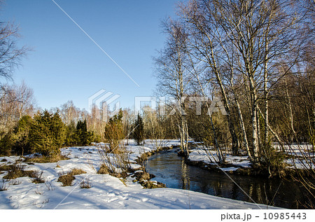 Brook in early springtime Brook in early springtime 10985443