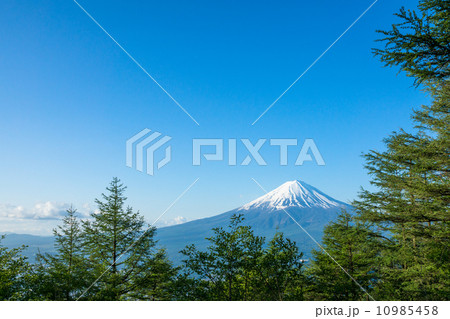 富士山と森林 10985458