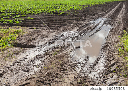 Dirty road with muds in the field, Russia Dirty road with muds in the field, Russia 10985508