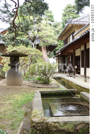 豪商の館田中本家の湧水 10985537