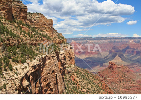 Grand Canyon in summer 10985577