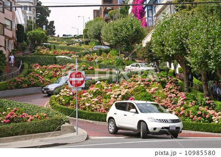 Lombard Street 10985580