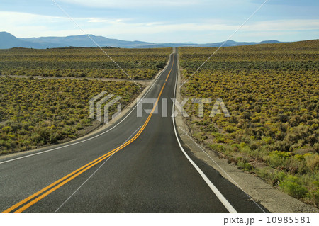 Long road to access to Grand Canyon Long road to access to Grand Canyon 10985581