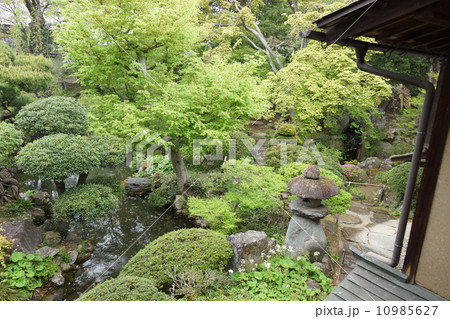 豪商の館田中本家の日本庭園 豪商の館田中本家の日本庭園 10985627