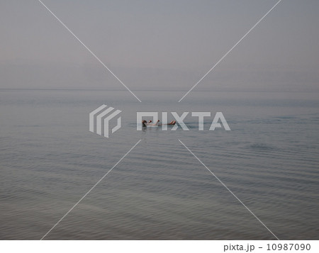 死海 10987090