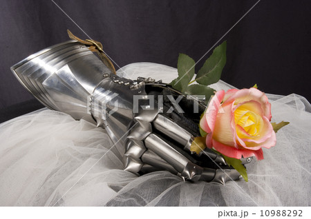 knight 10988292