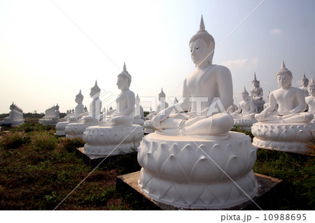 Buddha image 10988695