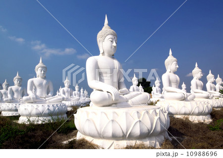 Buddha image 10988696