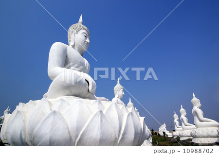 Buddha image 10988702