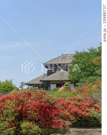 キリシマツツジと好文亭 (縦カット) 10988737