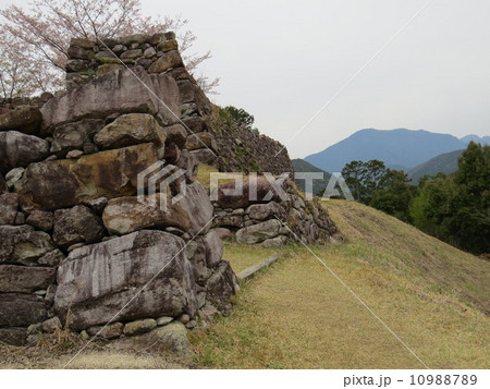 城跡、 城跡、 10988789