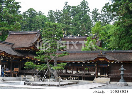 多賀大社 10988933