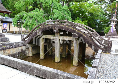 多賀大社　太閤橋 10988942