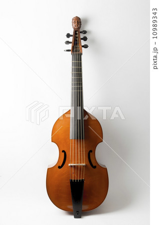 ヴィオラ・ダ・ガンバ イエスタ製 IESTA Viola da Gamba - 楽器/器材
