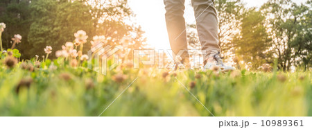 野を歩く男性 野を歩く男性 10989361