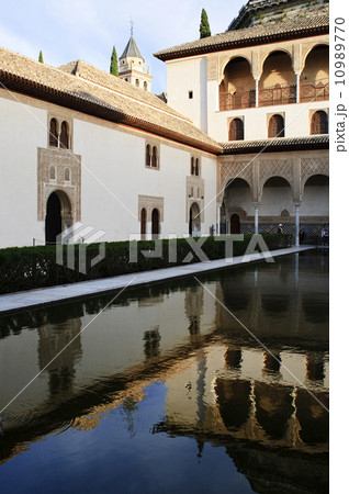 夕暮れのアラヤネスの中庭　アルハンブラ宮殿 10989770