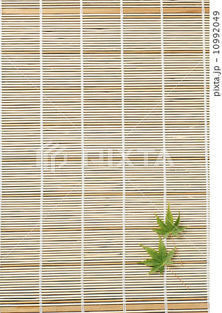 涼イメージ 10992049