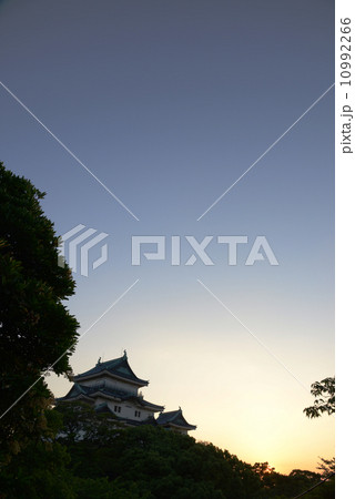 和歌山城　夕暮れ　縦位置　コピースペース 10992266