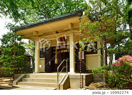 豊島区の妙義神社 10992274