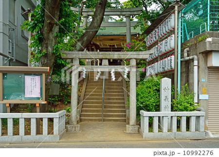 豊島区の妙義神社 10992276