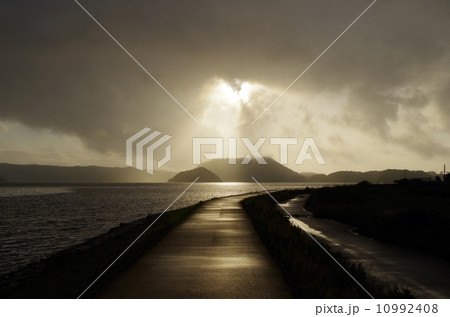 金の道２ 10992408