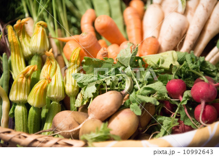 野菜いろいろ 10992643