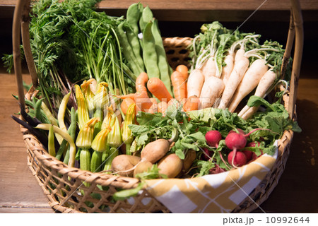 野菜いろいろ 野菜いろいろ 10992644